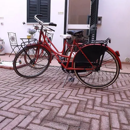 Toma Couette-café Montecatini Terme